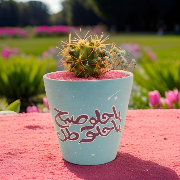 صبار في بوت ملون