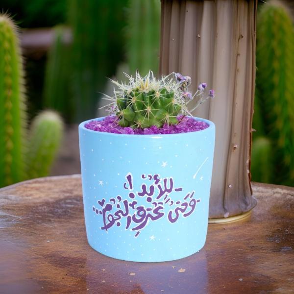 صبار في بوت ملون