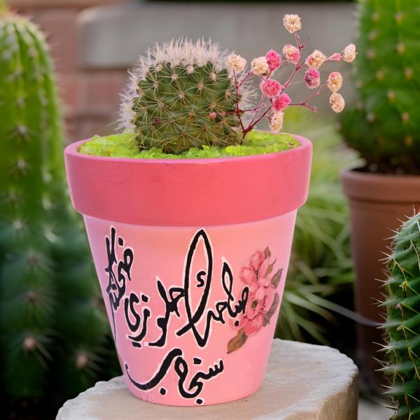 صبار في بوت ملون