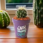 صبار في بوت ملون