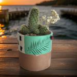 صبار في بوت ملون