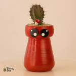 بوت هاند ميد بالصبار الطبيعي