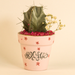 صبار في بوت ملون