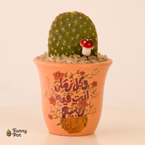 بوت بالصبار الطبيعي