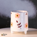 بوت فخار فارغ