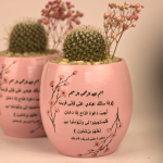 صبار في بوت ملون