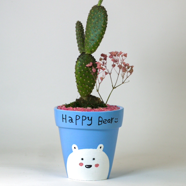 صبار في بوت ملون