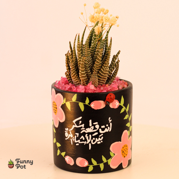 بوت بالصبار الطبيعي