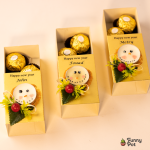 بوكس سنومان