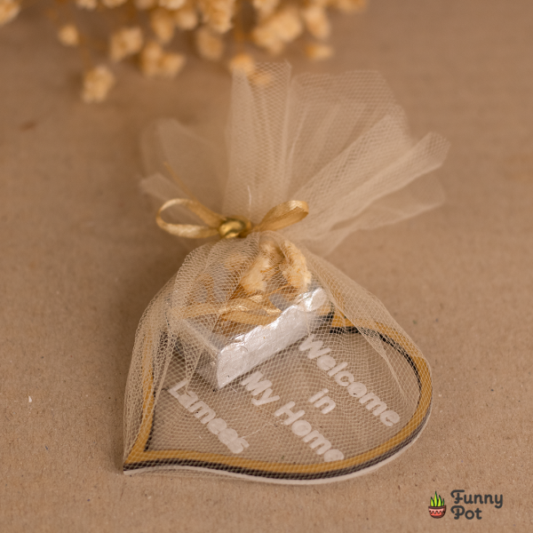 كوستر توزيعات