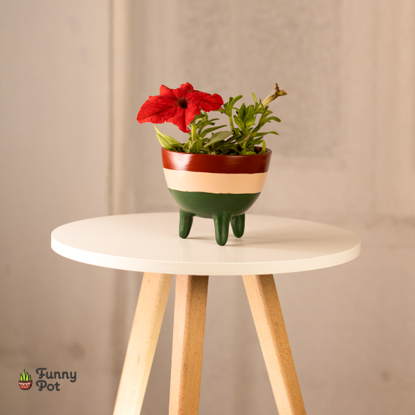 بوت بنبات البتونيا الطبيعي