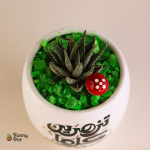 بوت فخار هاند ميد بالصبار الطبيعي