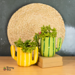 بوت هاند ميد بالنبات الطبيعي