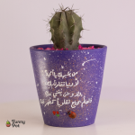 بوت بالصبار الطبيعي