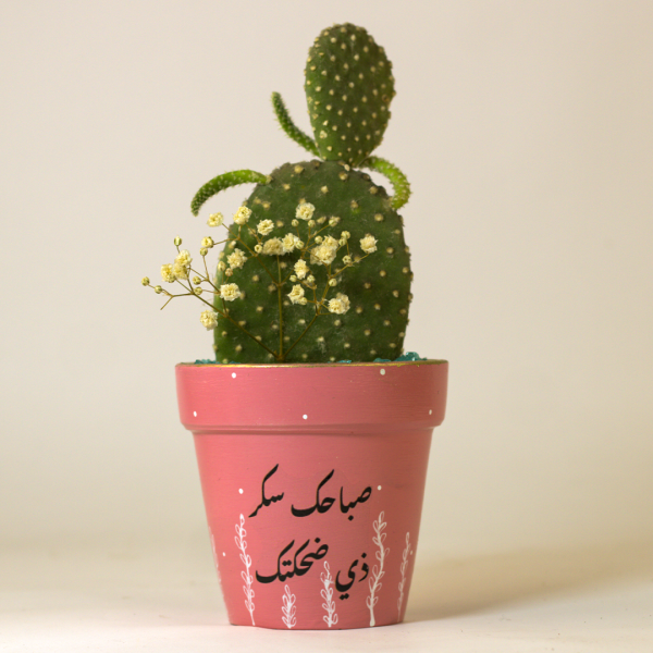 صبار في بوت فخار ملون