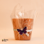 بوت فخار فارغ