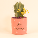 صبار في بوت ملون