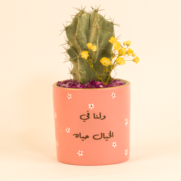 صبار في بوت ملون