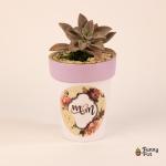 بوت فخار صبار طبيعي