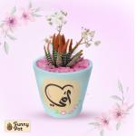 بوت فخار صبار طبيعي