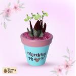 بوت فخار صبار طبيعي