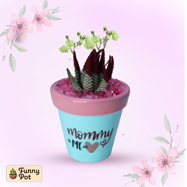 بوت فخار صبار طبيعي