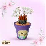 بوت فخار صبار طبيعي