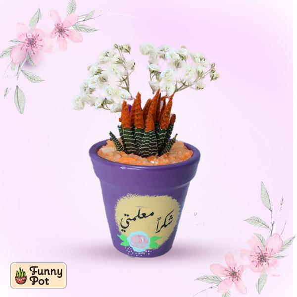 بوت فخار صبار طبيعي