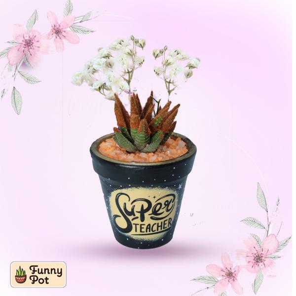 بوت فخار صبار طبيعي