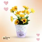 بوت فخار نبات  صناعى