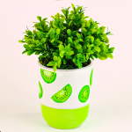 بوت كيوي نبات صناعي