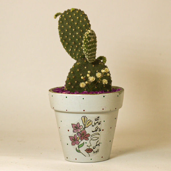 صبار في بوت ملون